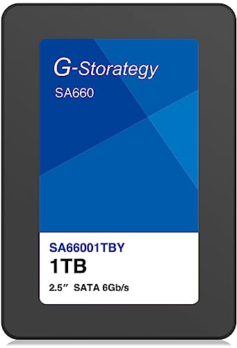 G-Storage SA660 1TB 内蔵型SSD 31w1vogI1+L.jpg